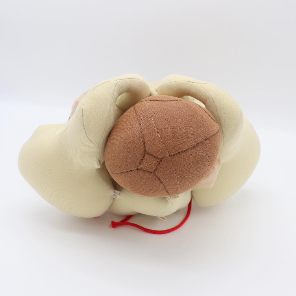 布製骨盤模型セット：赤ちゃん人形、胎盤、出産教育 - Etsy 日本