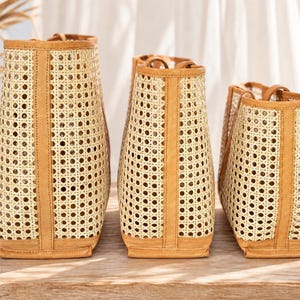 May include: Three tote bags of varying heights arranged in a row, each constructed with a light beige woven cane mesh body and tan leather trim along the vertical edges, top opening, and base, featuring two short handles on each bag.