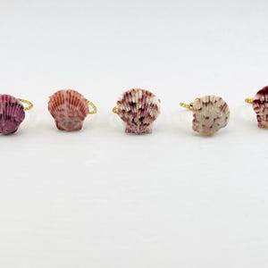 Anillos de conchas marinas auténticas: conchas de vieira seleccionadas a mano en tonos teñidos o naturales. Bandas de oro o plata: trenzadas, dobles, sencillas o lisas.
