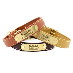 Waterproof Faux Leather Dog Collar with Personalized Nameplate