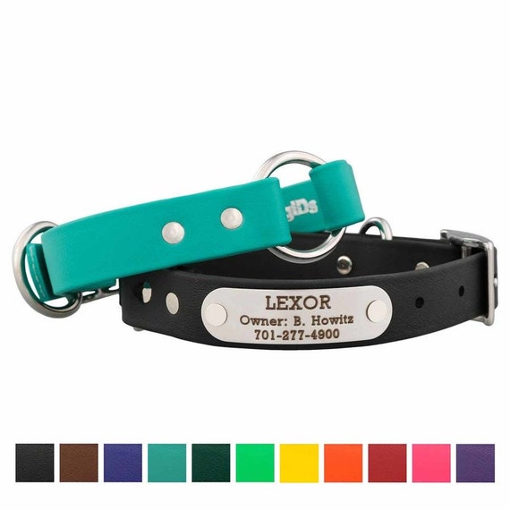 Nameplate top dog collar