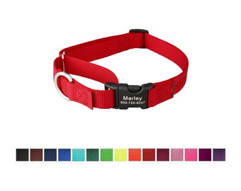 Martingale Nylon Dog Collar with Personalized Buckle
