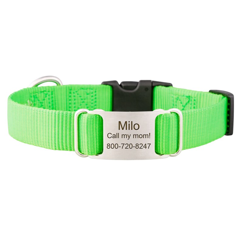 Personalized Nylon Dog Collar with Laser Engraved ScruffTag Etsy