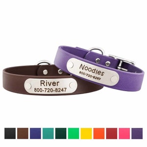 Soft Grip Dog Collar with Nameplate - Engraved Dog Collar - Waterproof and Odor Proof