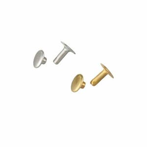 May include: Close-up of four metal rivets. Two are silver-colored, and two are gold-colored. Each rivet has a flat, round head and a post. The rivets are isolated on a white background.