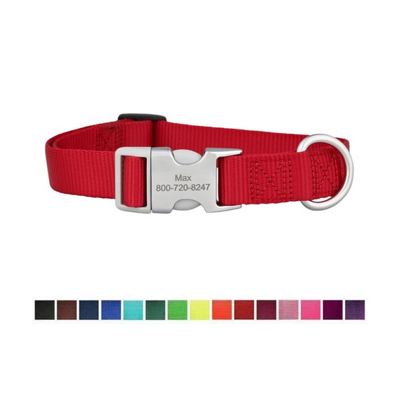 nylon dog collar with metal buckle