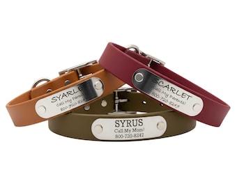 Waterproof Odor Proof Custom Dog Collar with Laser Engraved Nameplate | USA Made