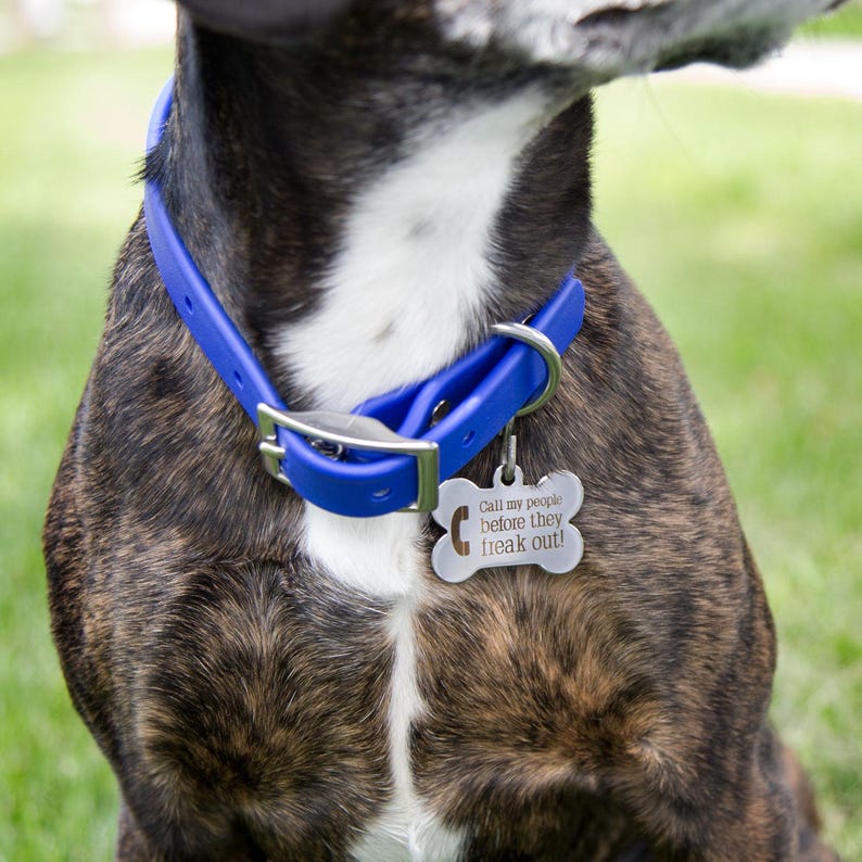 Funny Pet ID Tag: "Call My People Before They Freak Out" image 3