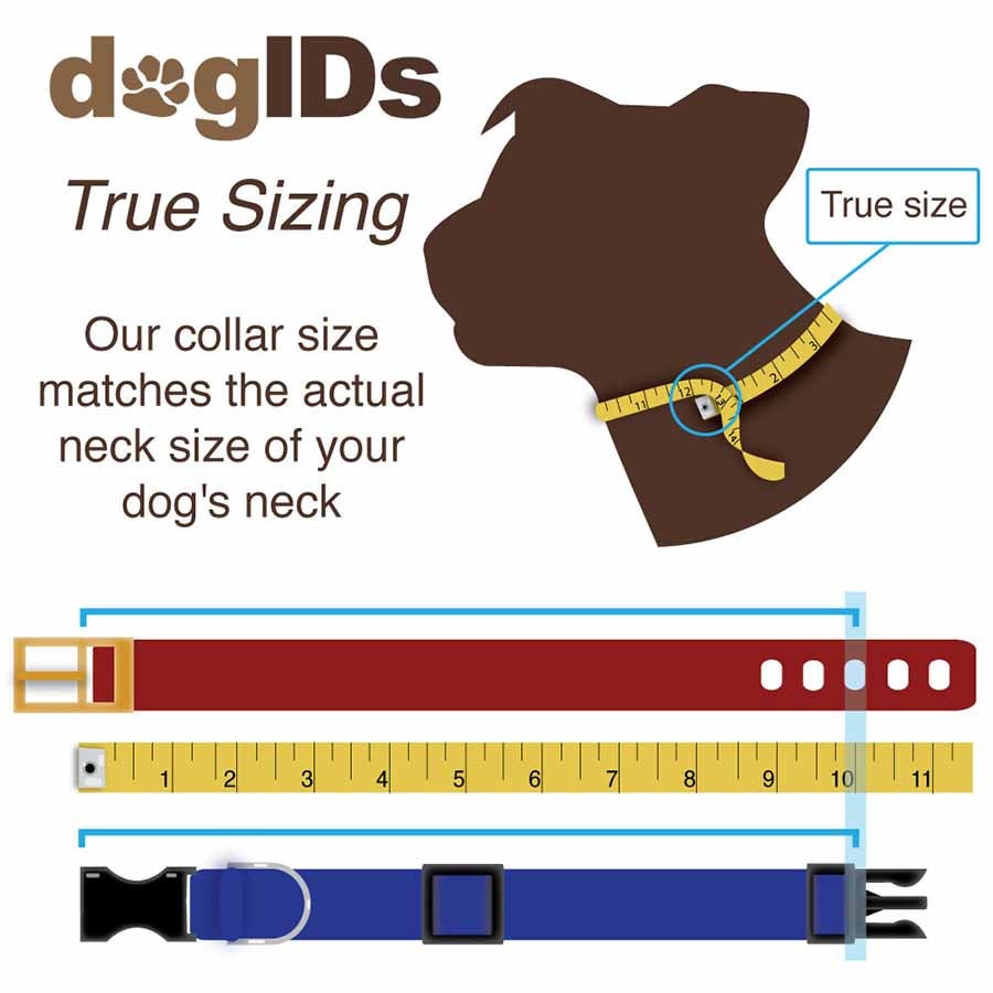 DogIDs - Waterproof Faux Leather Standard Nameplate Collar
