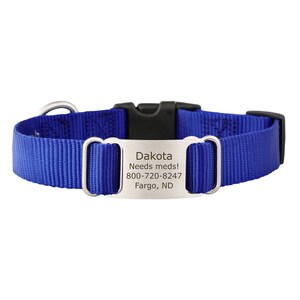 Blue Personalized Nylon ScruffTag Collar