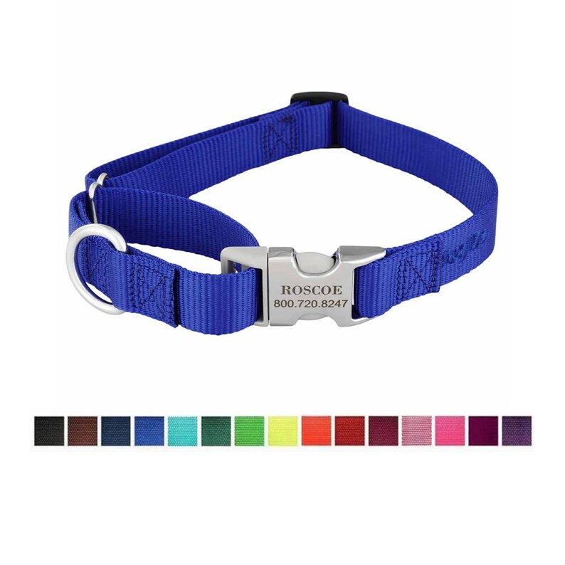 Personalized Metal SideRelease Buckle Martingale Dog Collar Etsy