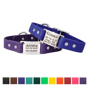Waterproof and Odor Proof Personalized ScruffTag Dog Collar with Built In Laser Engraved Nameplate