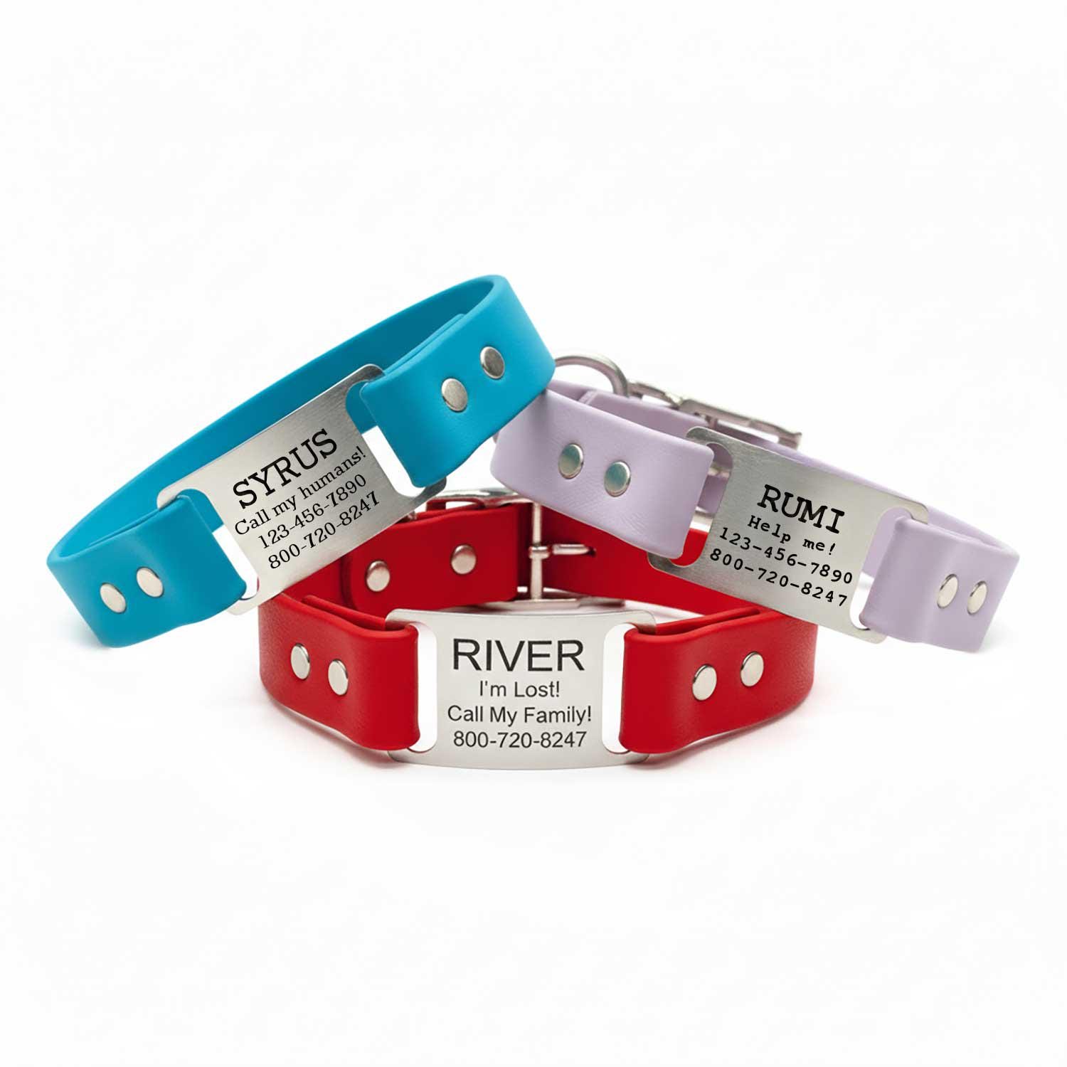 Waterproof & Odor Proof Personalized Scrufftag Dog Collar With Built in Laser Engraved Nameplate