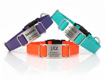 Personalized Waterproof ScruffTag Quick Release Buckle Dog Collar | USA Made