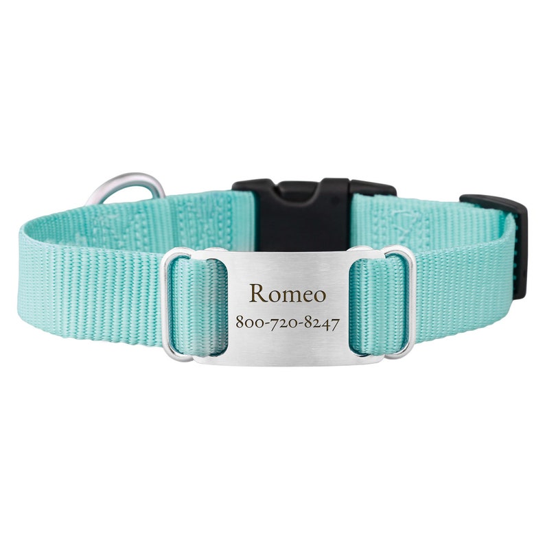 Turquoise Personalized Nylon ScruffTag Collar