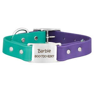 Two Tone Waterproof Scrufftag Collar with Built In Laser Engraved Nameplate