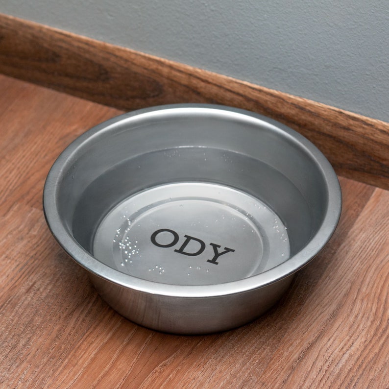 Stainless Steel Engraved Dog Bowl Use for Water or Food 3 Etsy