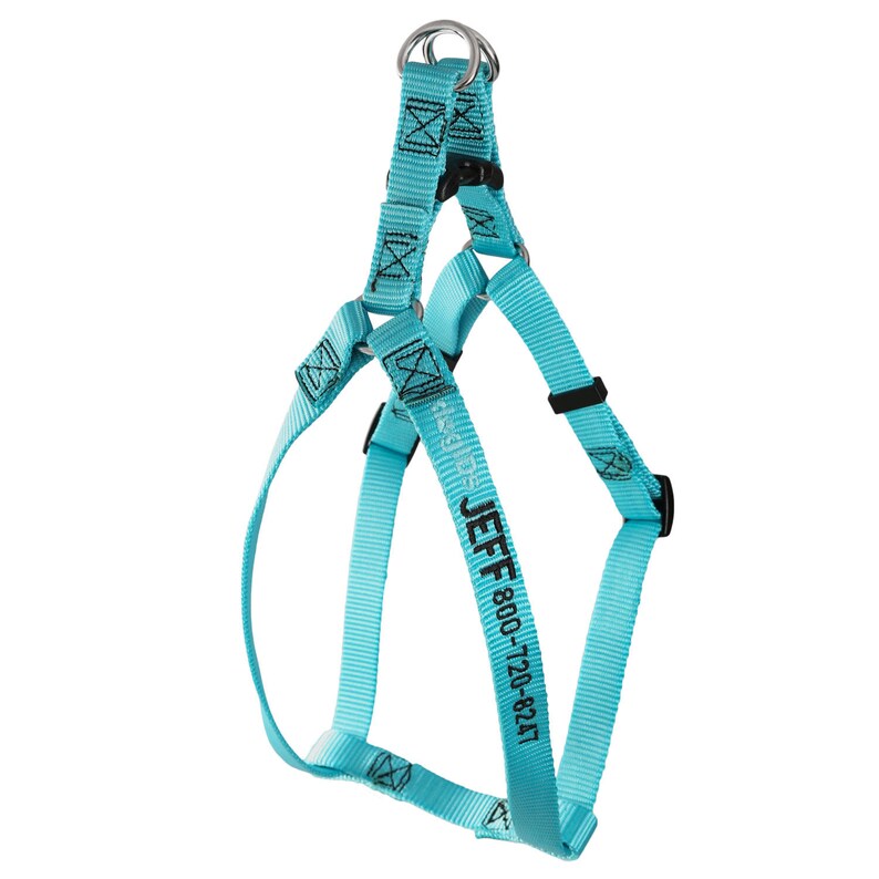 Turquoise Embroidered Nylon Dog Harness