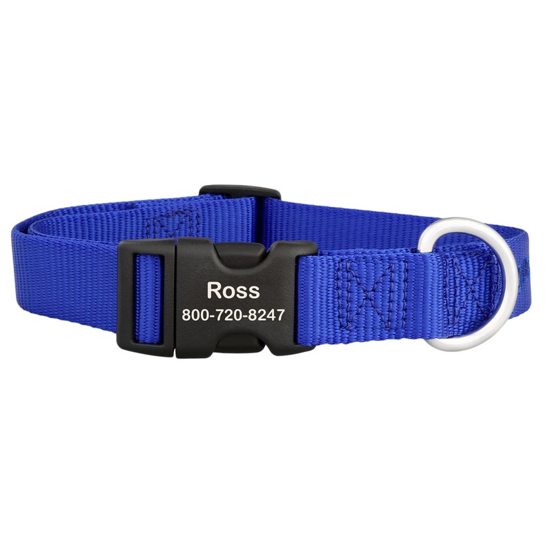 Personalized Buckle Nylon Dog Collar Nylon Dog Collar With Etsy