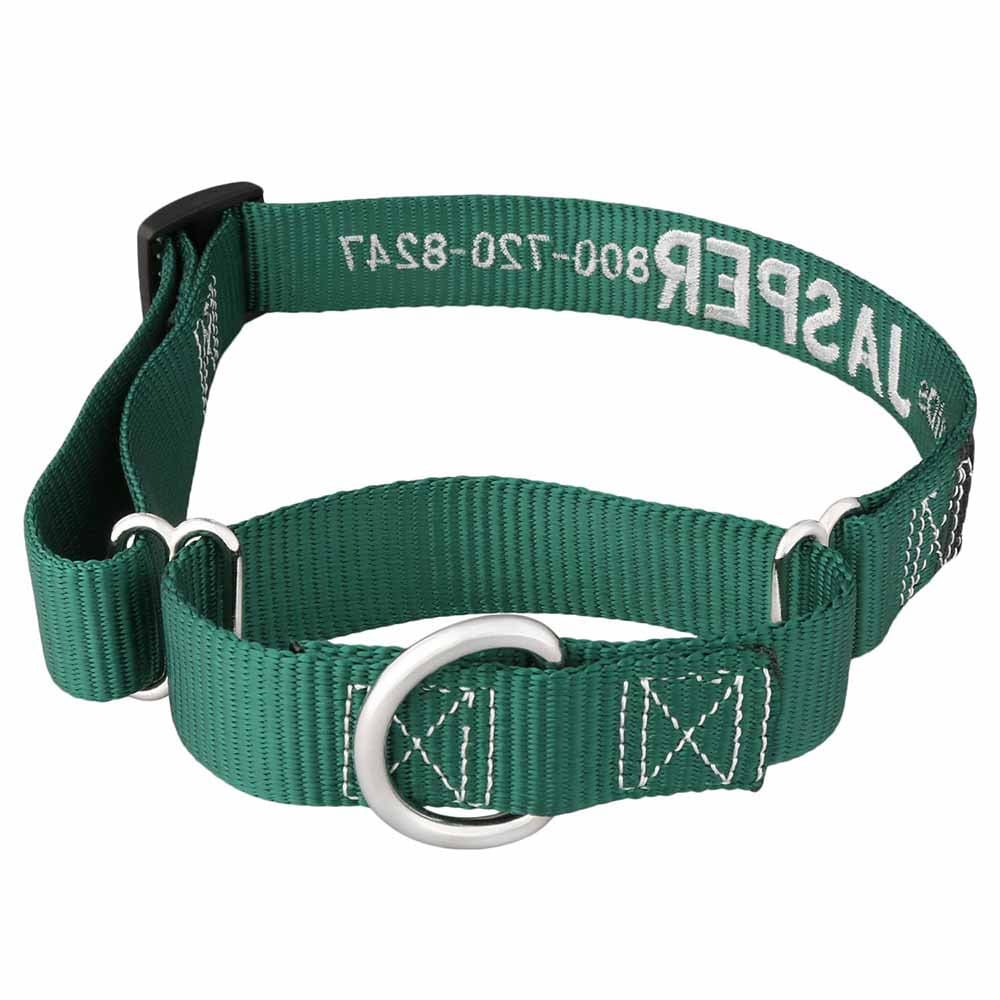 Embroidered martingale dog collars sale