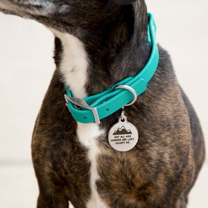 Not All Who Wander Are Lost Personalized Dog Tag for Pets - Etsy