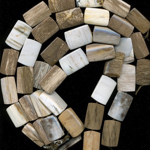 Petrified Wood Beads Choose From Warm Toned Tapered Rectangles 16&quot; Strand All Natural