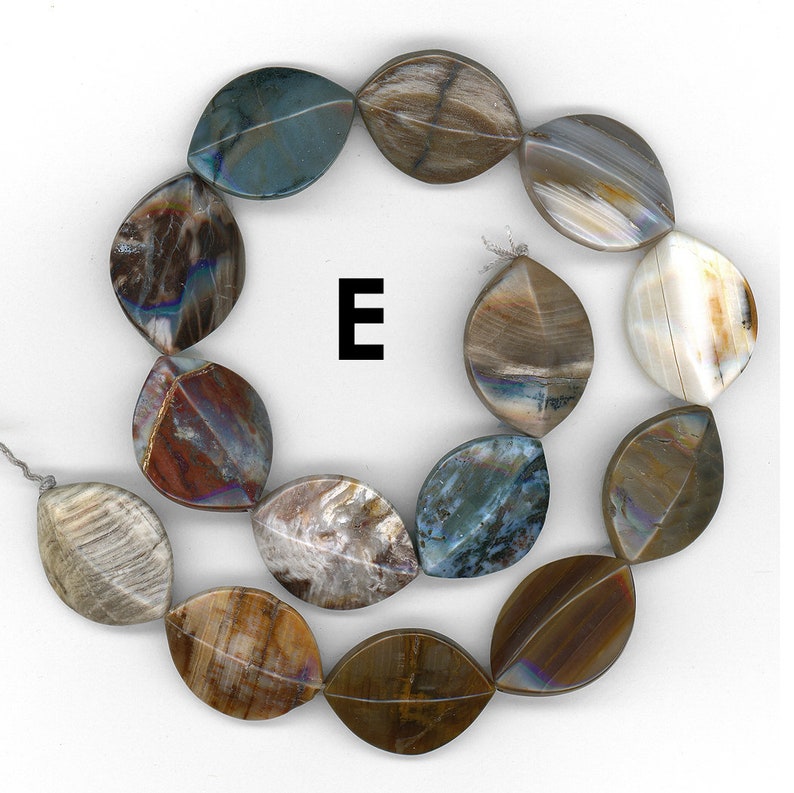 Oregon Petrified Wood 30mm Beads Dimensional Ovals Choose Your Etsy