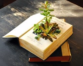 garden story items garden story items
