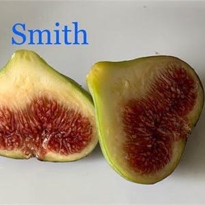 Puede incluir: Dos mitades de una higo verde con pulpa roja. El texto "Smith" está escrito encima de los higos.