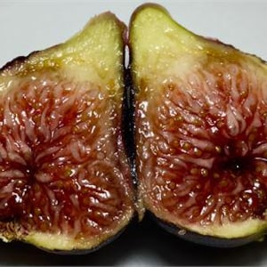 以下が含まれることがあります： 半分にカットされたイチジクで、内部構造を示しています。果肉は濃い赤紫で、淡い黄色の皮と対照的です。カット面には種と複雑な内部パターンが現れ、果物の自然な美しさを際立たせています。