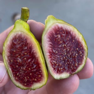 May include: Two halves of a ripe fig, cut open to reveal the red flesh and small seeds inside. The figs have a green skin.