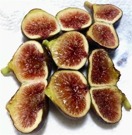 Italian 258 fig cutting - Etsy 日本