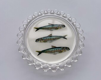 Vassoio portaoggetti Sardine - Portaoggetti, Sottobicchiere e Portagioie