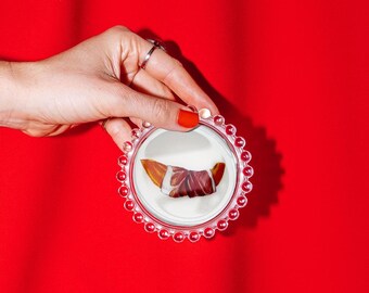 Prosciutto + Melon Trinket Dish, Original Illustration, 4"