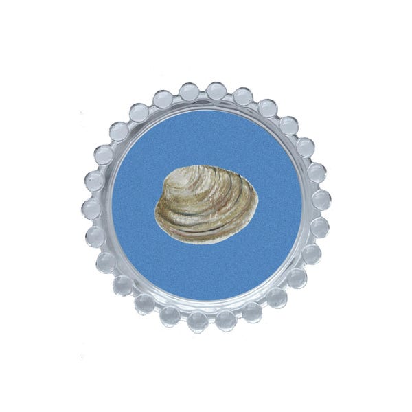 Bandeja multiusos con forma de almeja: plato para baratijas, posavasos y porta joyas