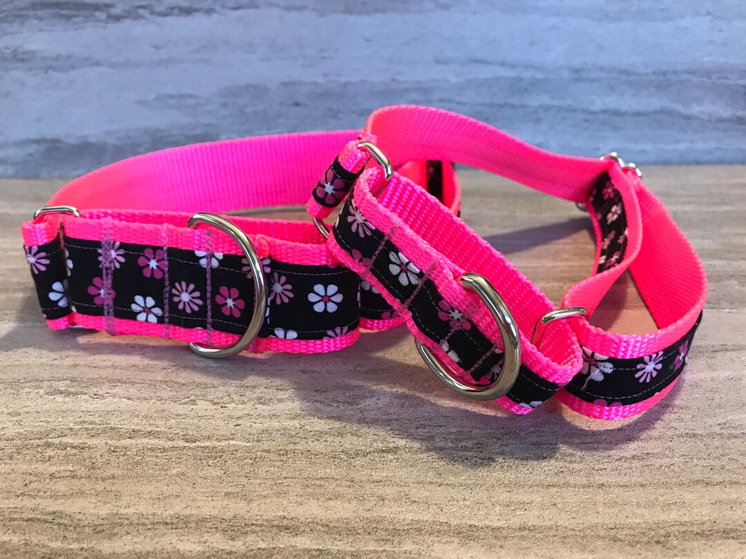 Daisy Chain Dog Hot Pink Martingale Dog Collar, Training Dog Collar