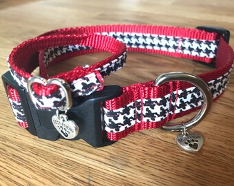 Limited Dog Collar – The Buddy Bracelet