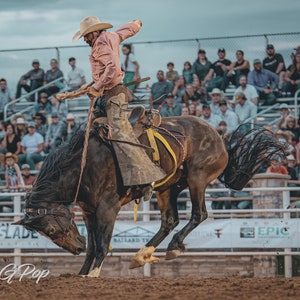 Rodeo, Bronc Riding