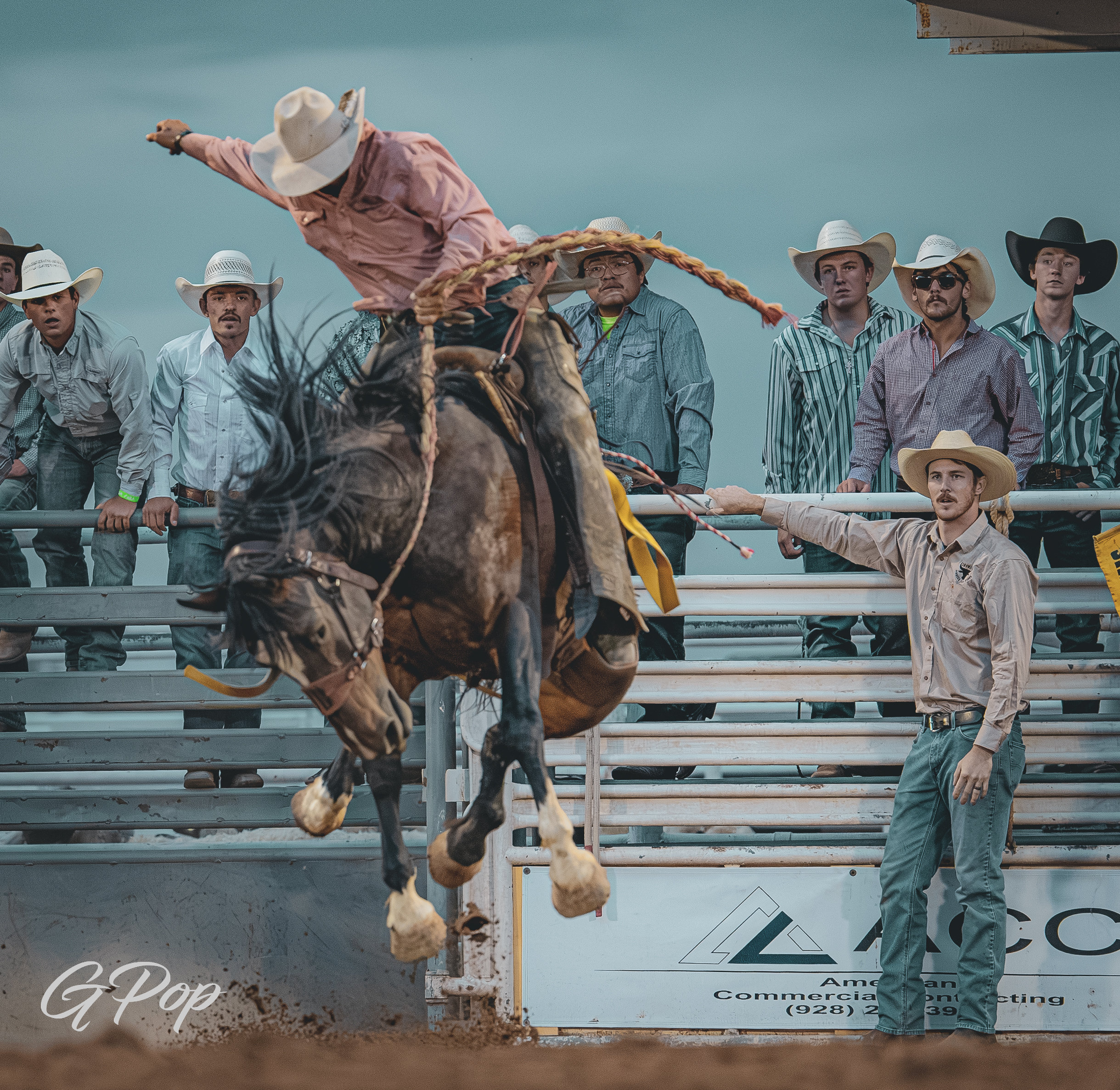 Mini Rodeo Bronc Rodeo, Bronc Riding - Etsy