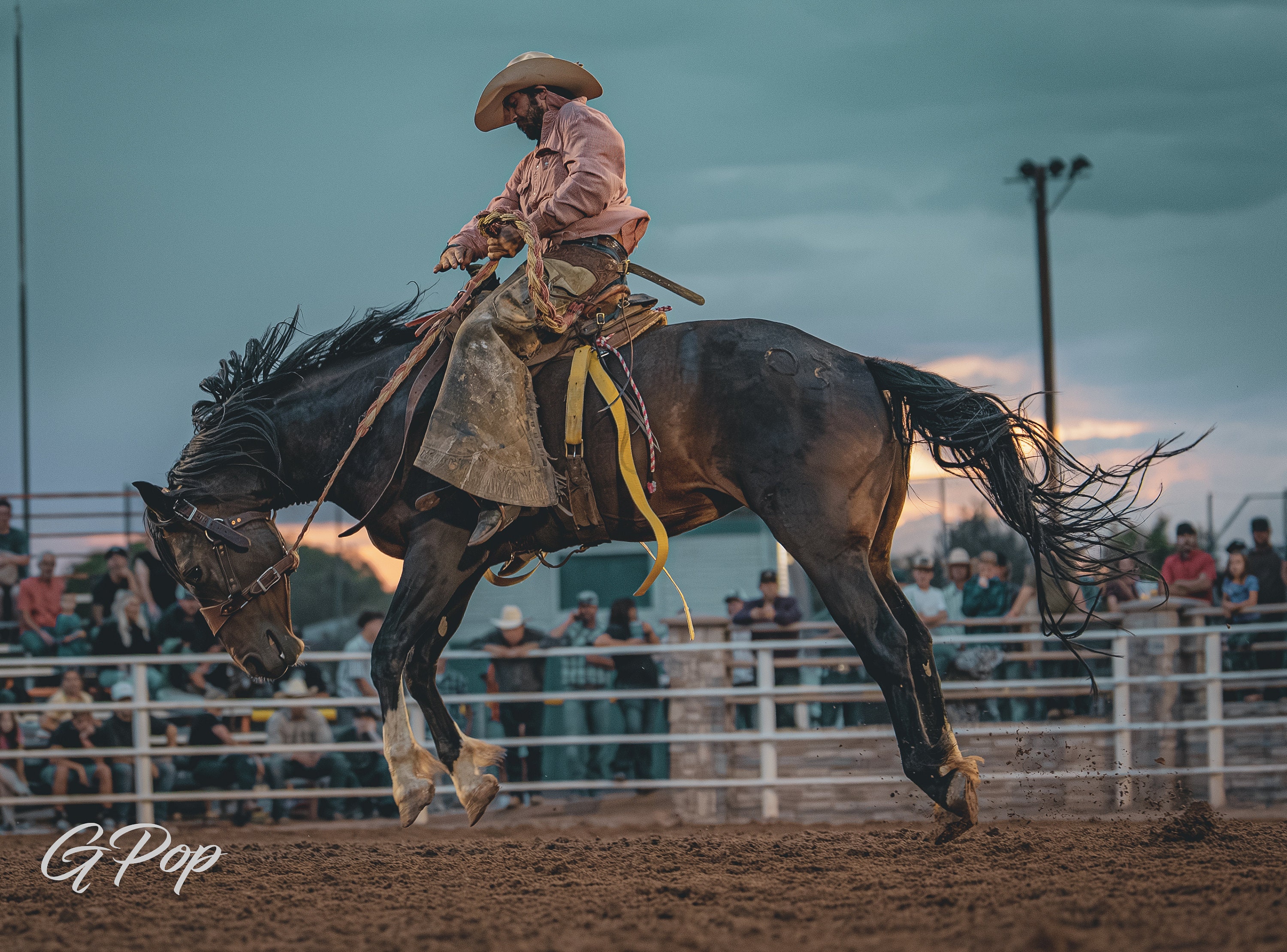 Rodeo, Bronc Riding - Etsy