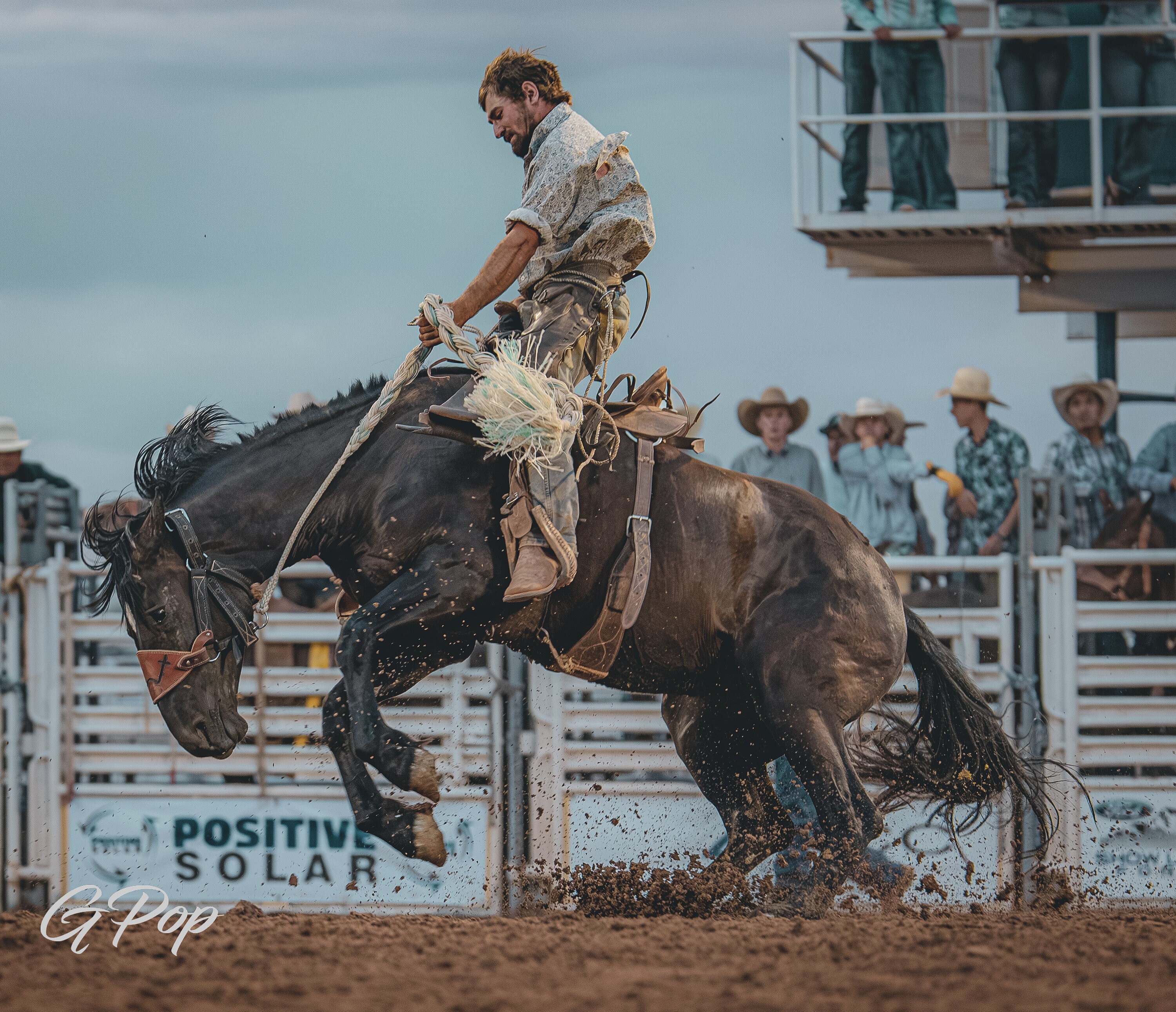 Mini Rodeo Bronc Rodeo, Bronc Riding - Etsy