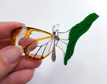 Glasswing Butterfly on Leaf - Laser Cut Acrylic Brooch