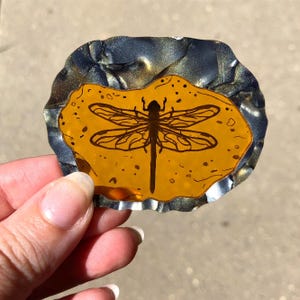 Dragonfly in Amber Outlander Laser Cut Acrylic Brooch image 8