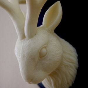 Ivory and Black Mounted Jackalope Head Wall Hanging image 3