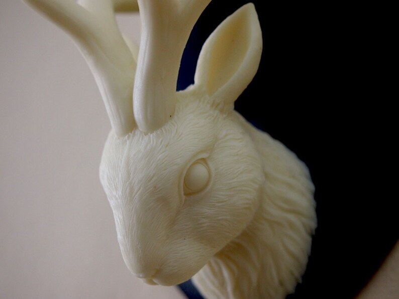 Ivory and Black Mounted Jackalope Head Wall Hanging image 3