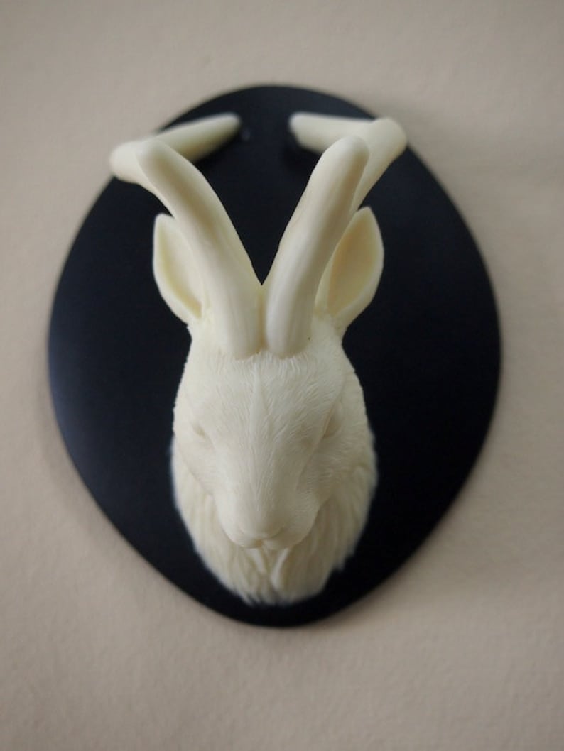 Ivory and Black Mounted Jackalope Head Wall Hanging image 5