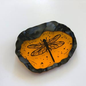 Dragonfly in Amber Outlander Laser Cut Acrylic Brooch image 5