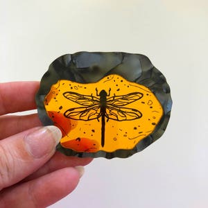 Dragonfly in Amber Outlander Laser Cut Acrylic Brooch image 7