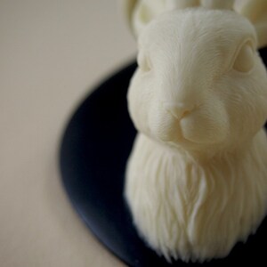 Ivory and Black Mounted Jackalope Head Wall Hanging image 4