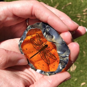 Dragonfly in Amber Outlander Laser Cut Acrylic Brooch image 2